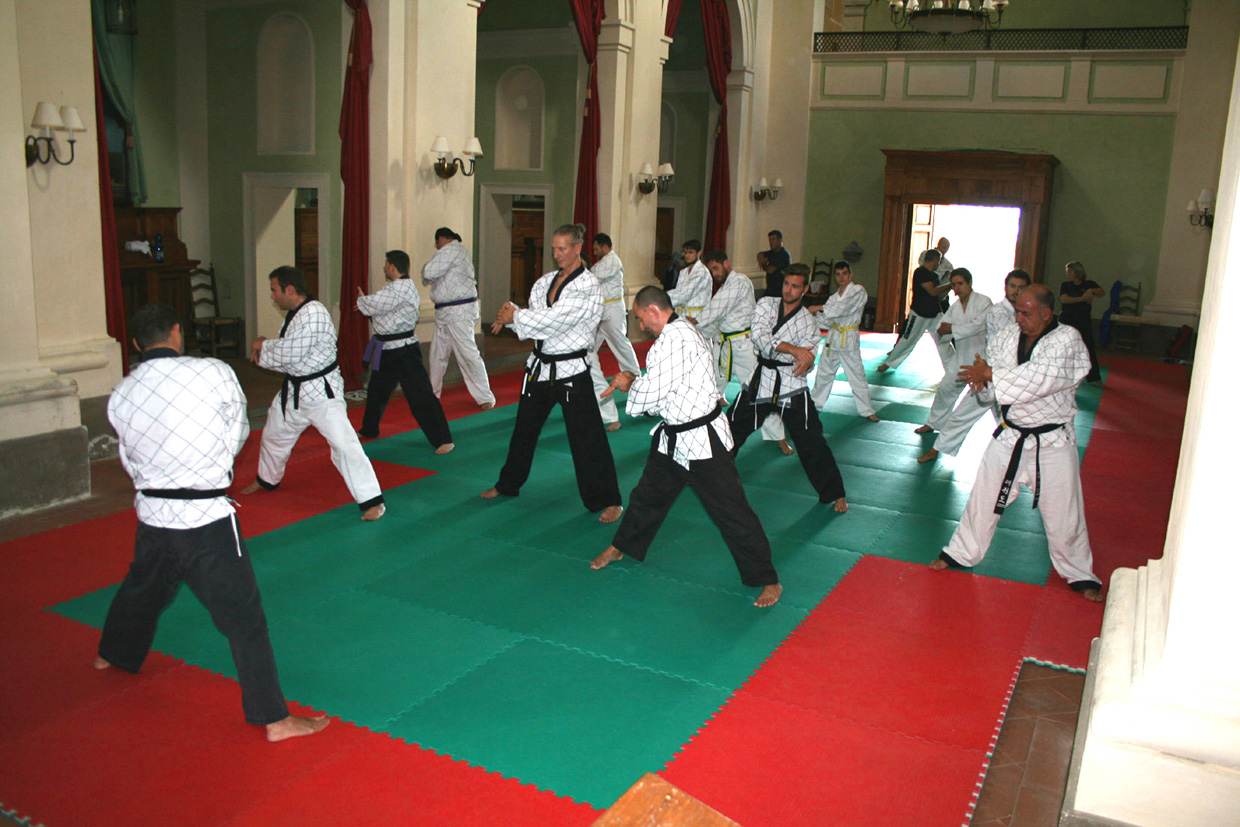 1�SEMINARIO NAZIONALE Scuola Hapkido Italia - SHAI - PISTOIA 25/27 sett.15 