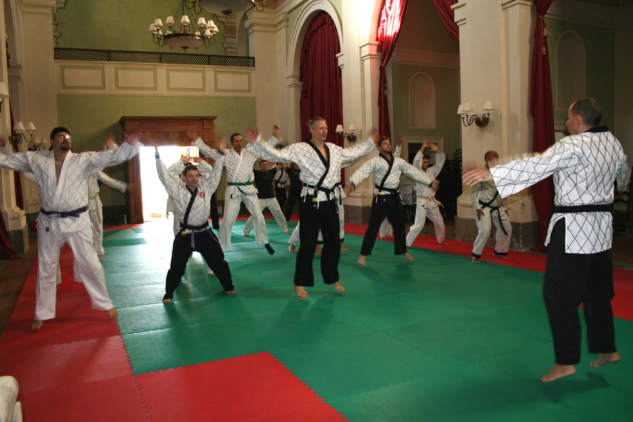 1�SEMINARIO NAZIONALE Scuola Hapkido Italia - SHAI - PISTOIA 25/27 sett.15 