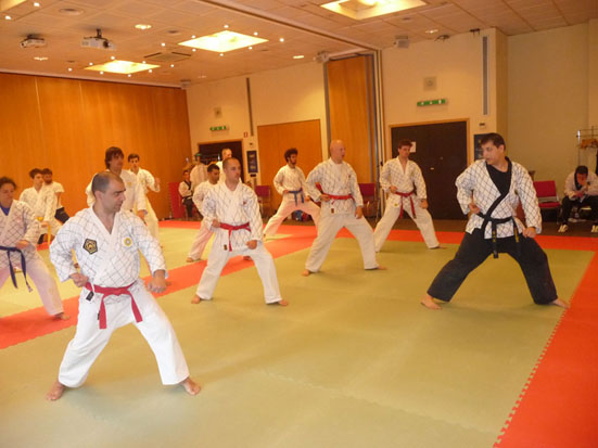 M_M_Hafezi_Hapkido_Ven6_Maggio2011_Milano