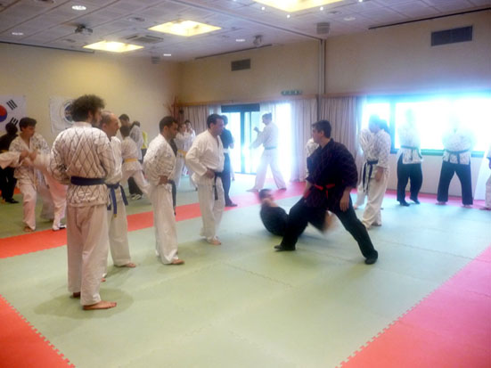 M_M_Massara_Hapkido_Sab7_Maggio2011_Milano