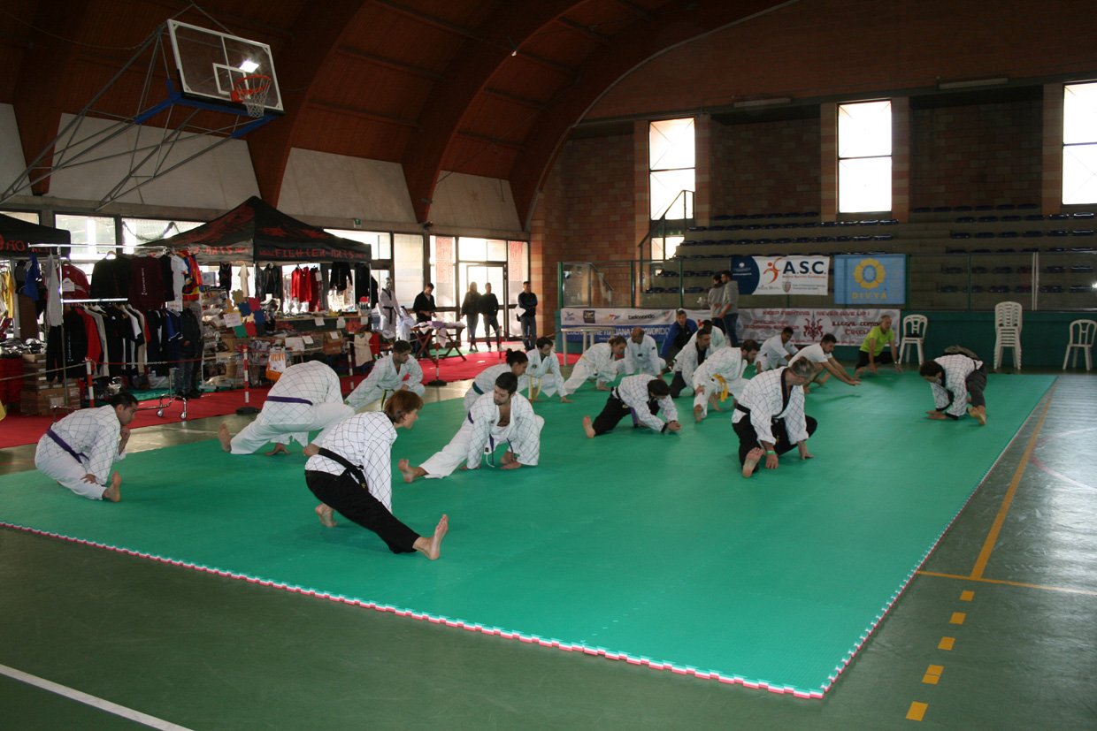 STAGE NORD ITALIA Scuola Hapkido Italia - SHAI - CHIUDUNO,BG 31 ott.15 