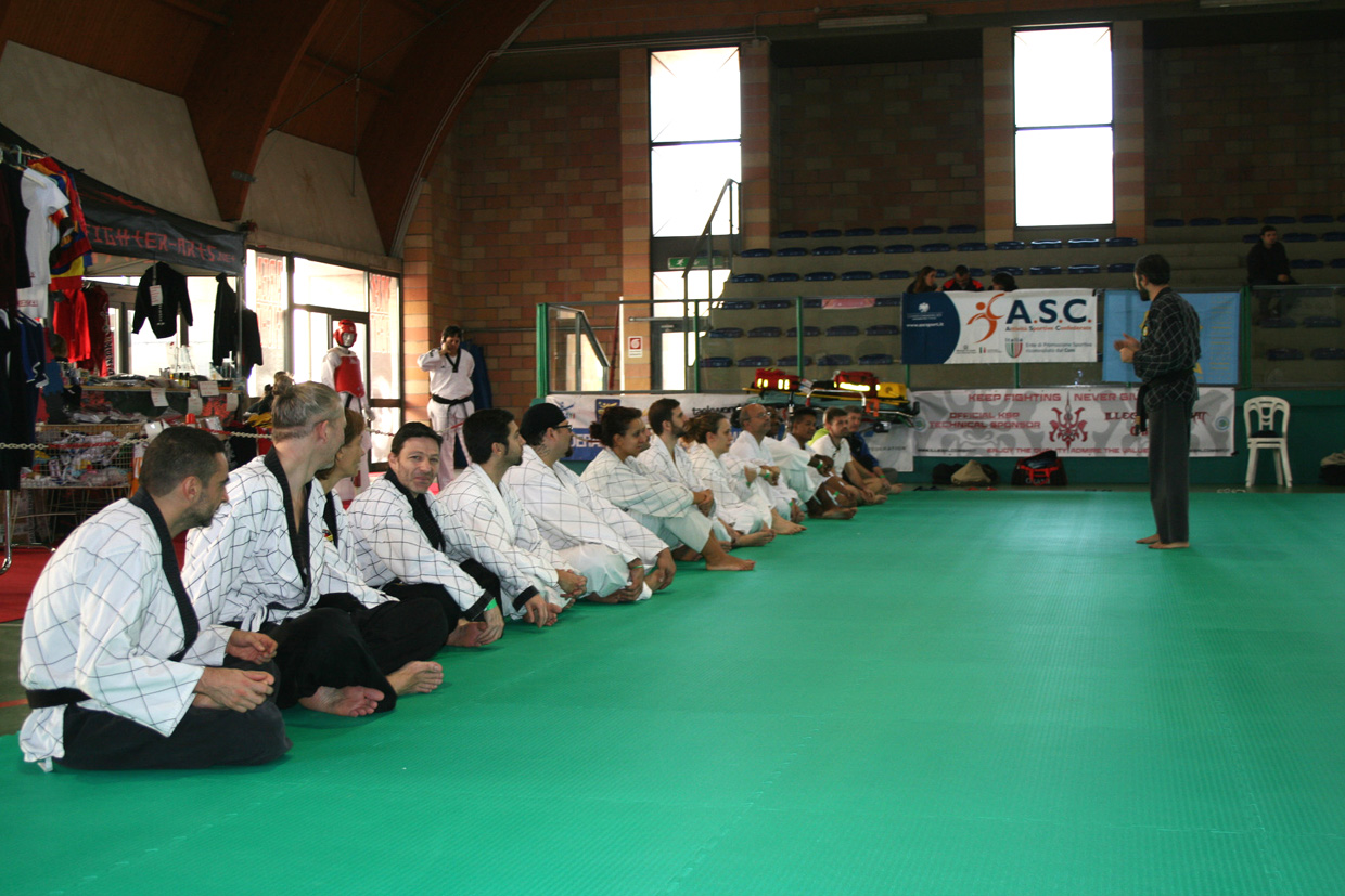 STAGE NORD ITALIA Scuola Hapkido Italia - SHAI - CHIUDUNO,BG 31 ott.15 