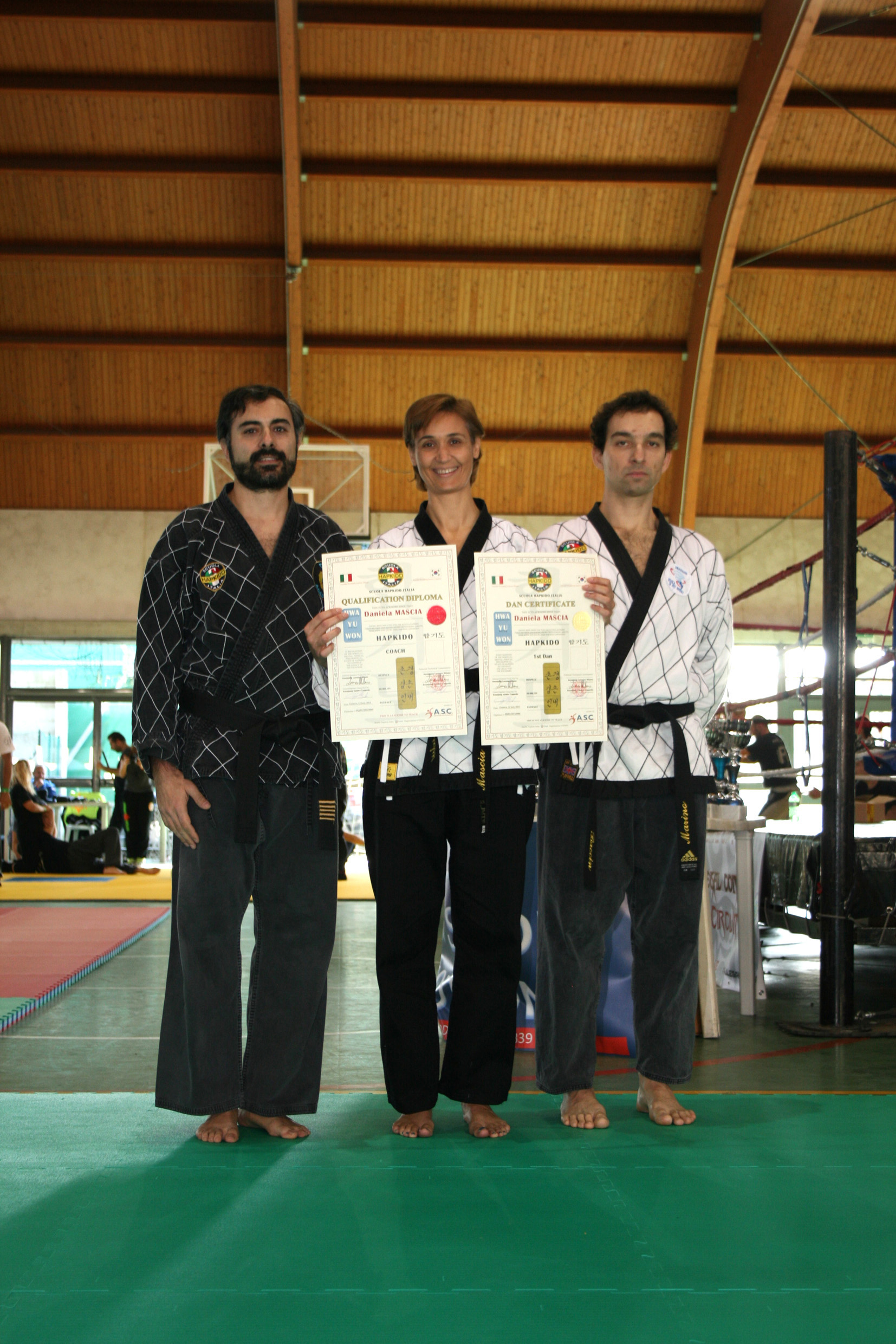 STAGE NORD ITALIA Scuola Hapkido Italia - SHAI - CHIUDUNO,BG 31 ott.15 