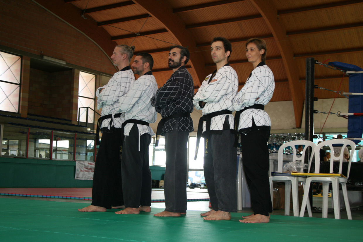 STAGE NORD ITALIA Scuola Hapkido Italia - SHAI - CHIUDUNO,BG 31 ott.15 